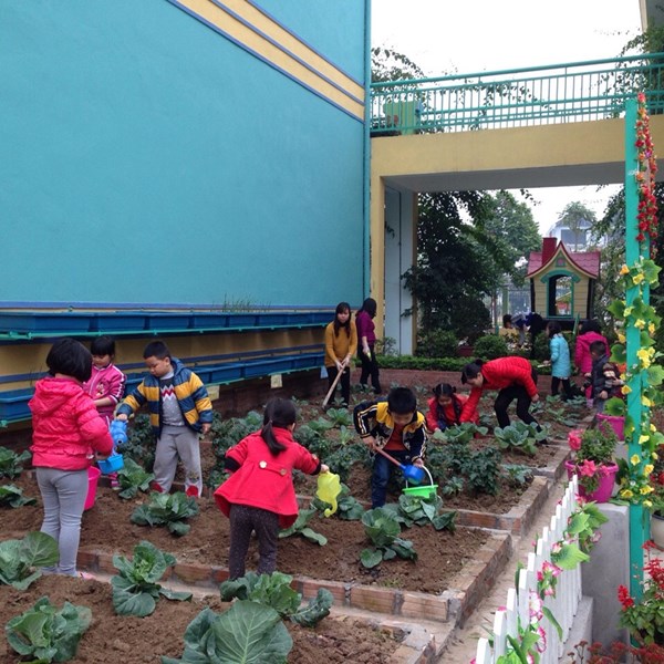 Học sinh chăm sóc vườn rau